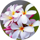 Ritz profile picture